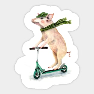 Piggy on a scooter Sticker